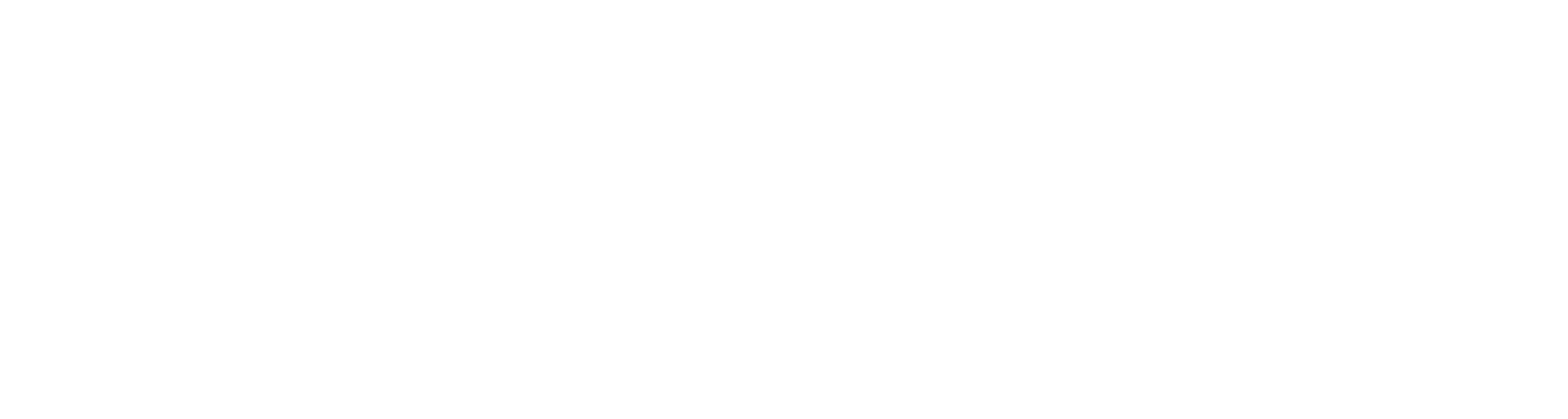 windshipdelta8